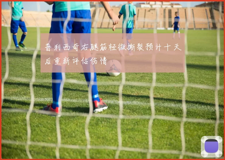 普利西奇右腿筋轻微撕裂预计十天后重新评估伤情