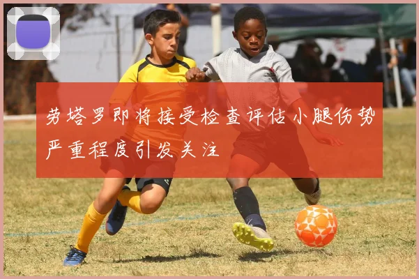 劳塔罗即将接受检查评估小腿伤势严重程度引发关注