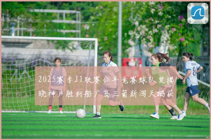 2025赛季J1联赛公平竞赛球队奖揭晓神户胜利船广岛三箭新泻天鹅获殊荣