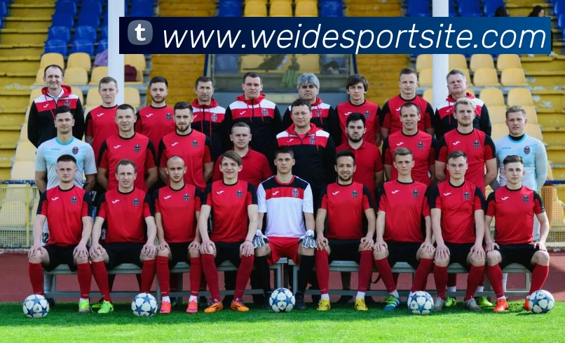 App Interface Preview