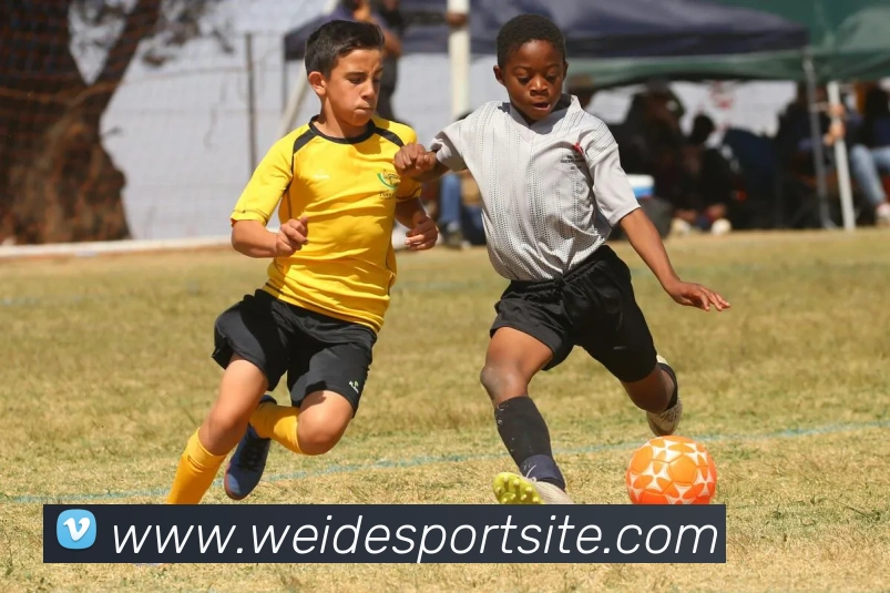 伟德体育APP 封面图